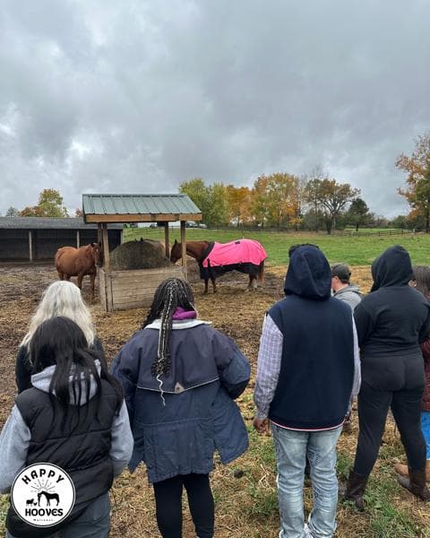 Happy Hooves Wellness