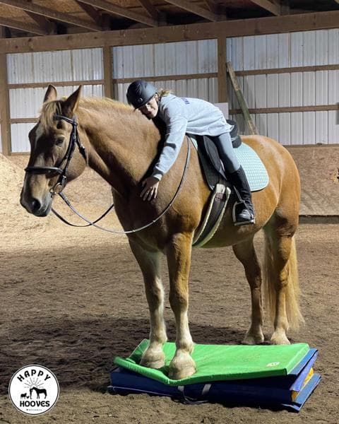 Happy Hooves Wellness