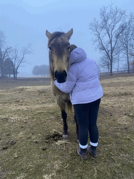 Happy Hooves Wellness