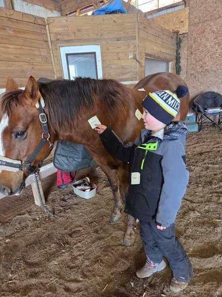 Healing Hearts With Horses LLC