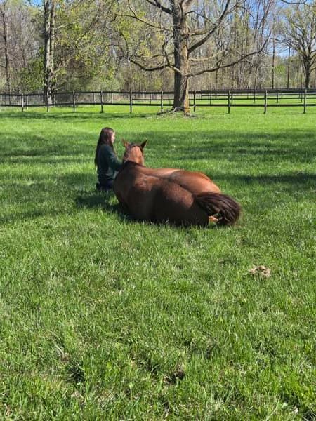 Healing Hearts With Horses LLC